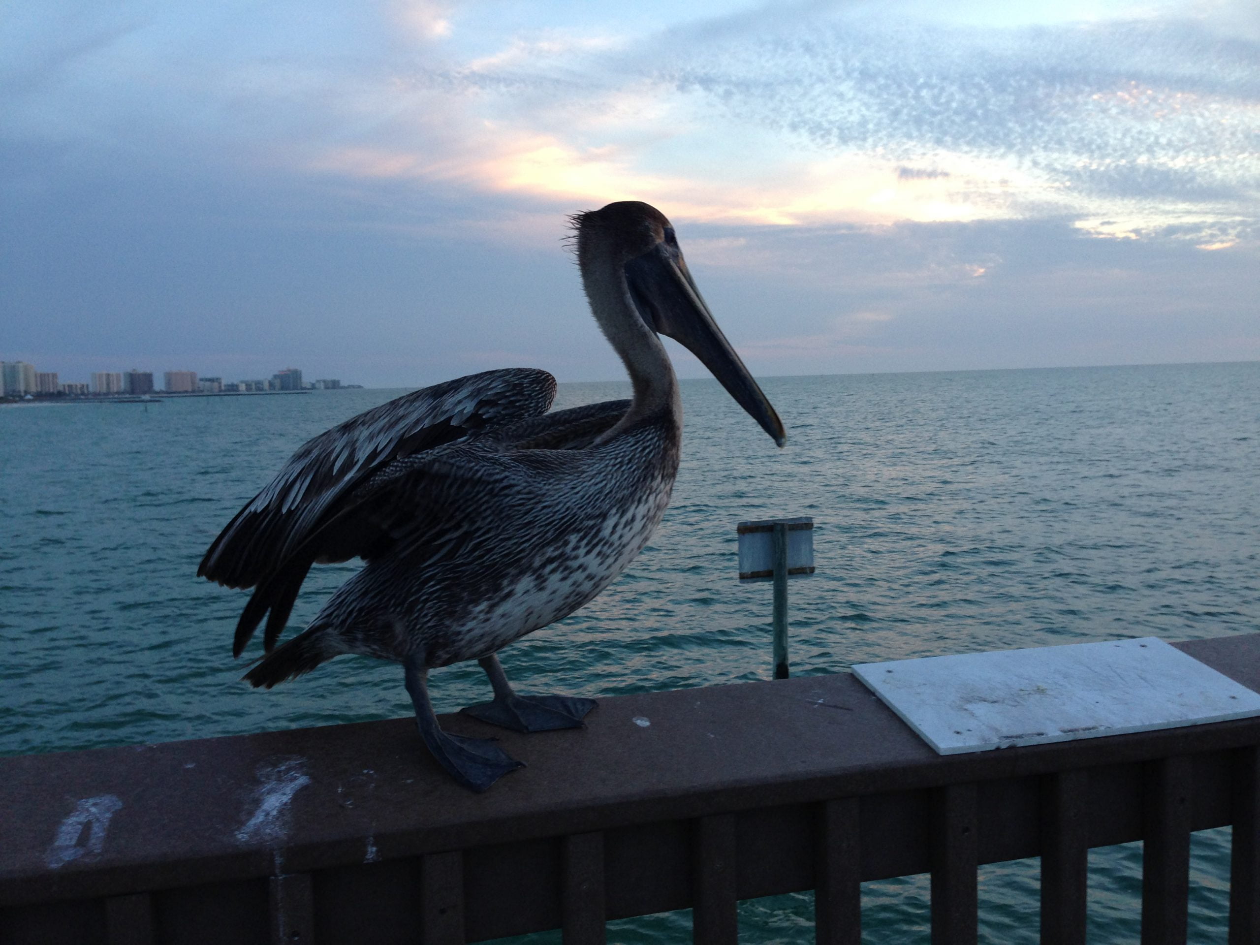 2014 02 24 18.27.16 scaled