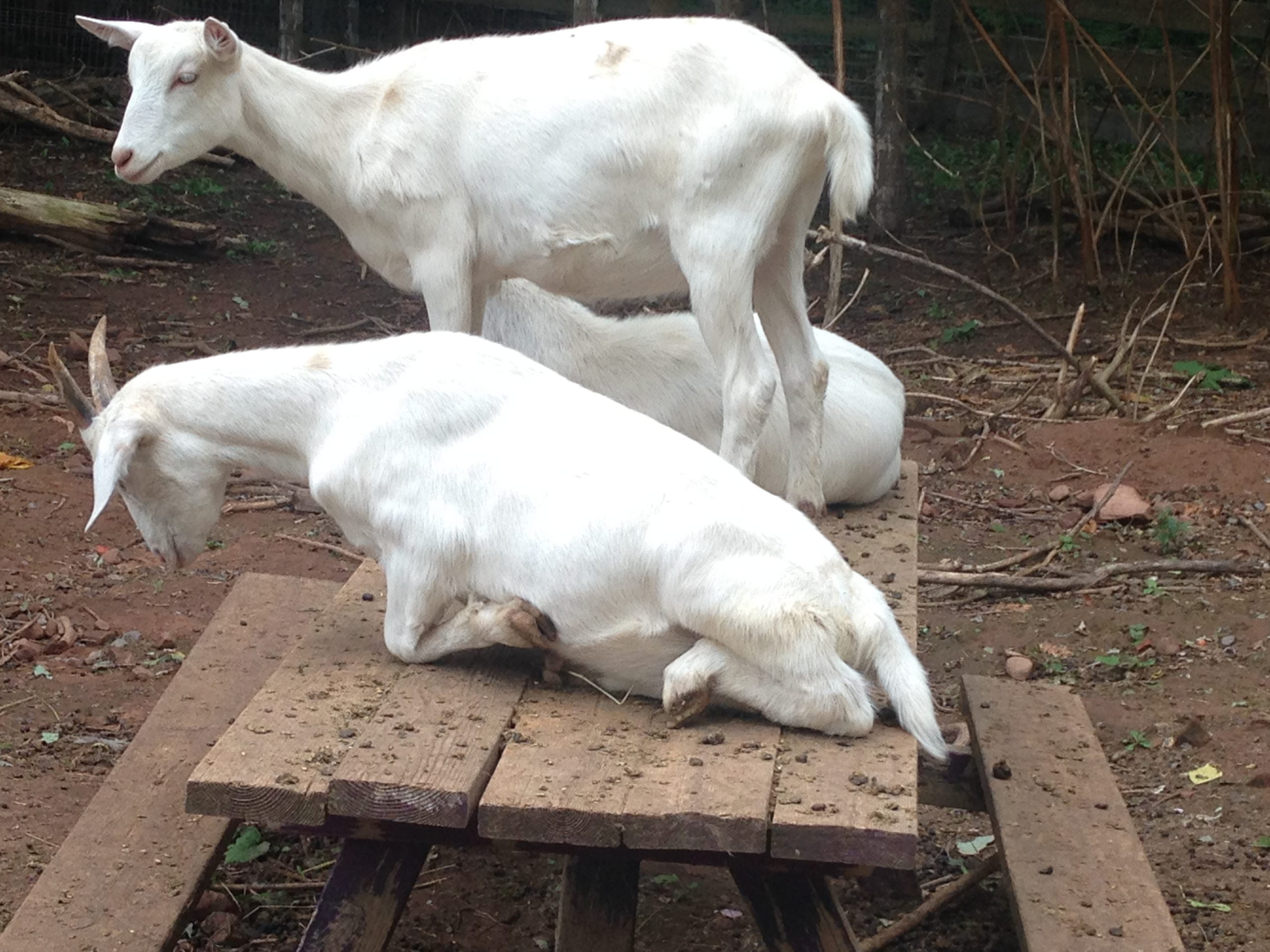 2014 09 23 12.07.18 scaled