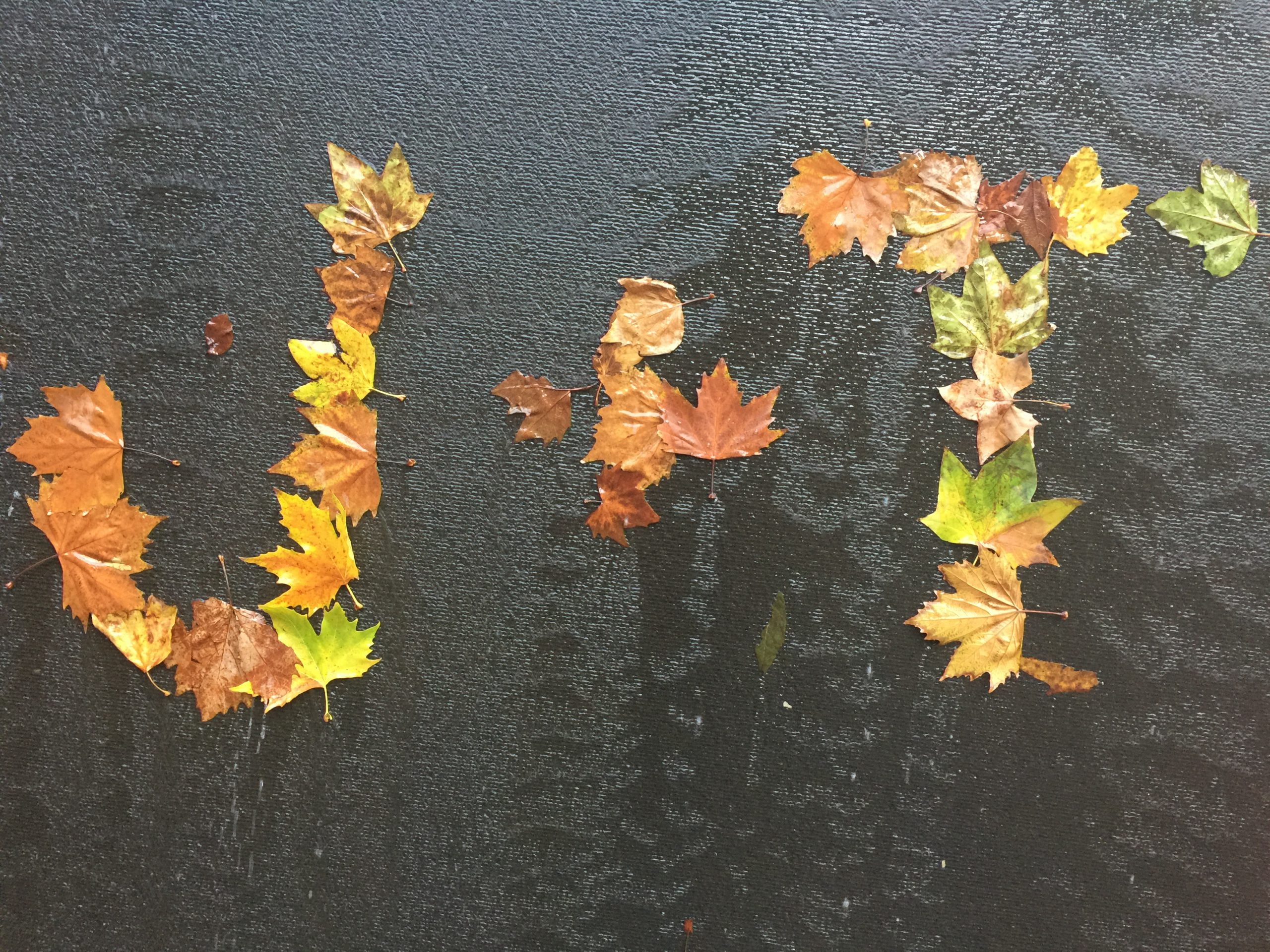 2016 06 12 16.32.04 scaled