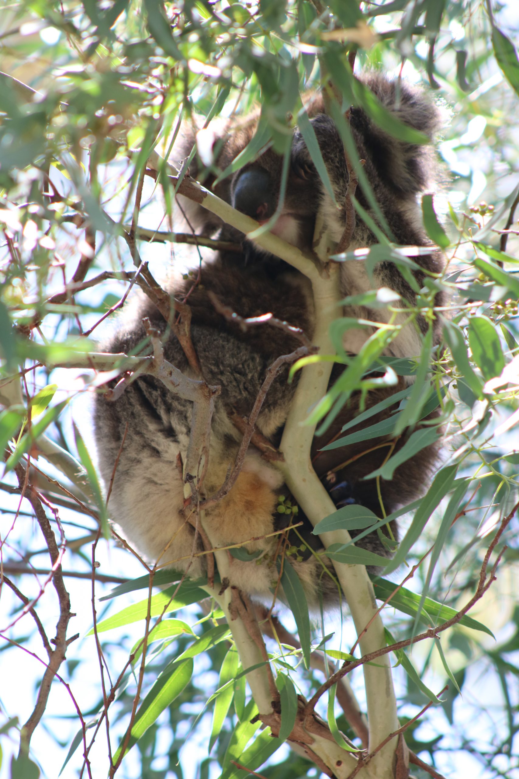 2017 01 23 21.16.19 scaled