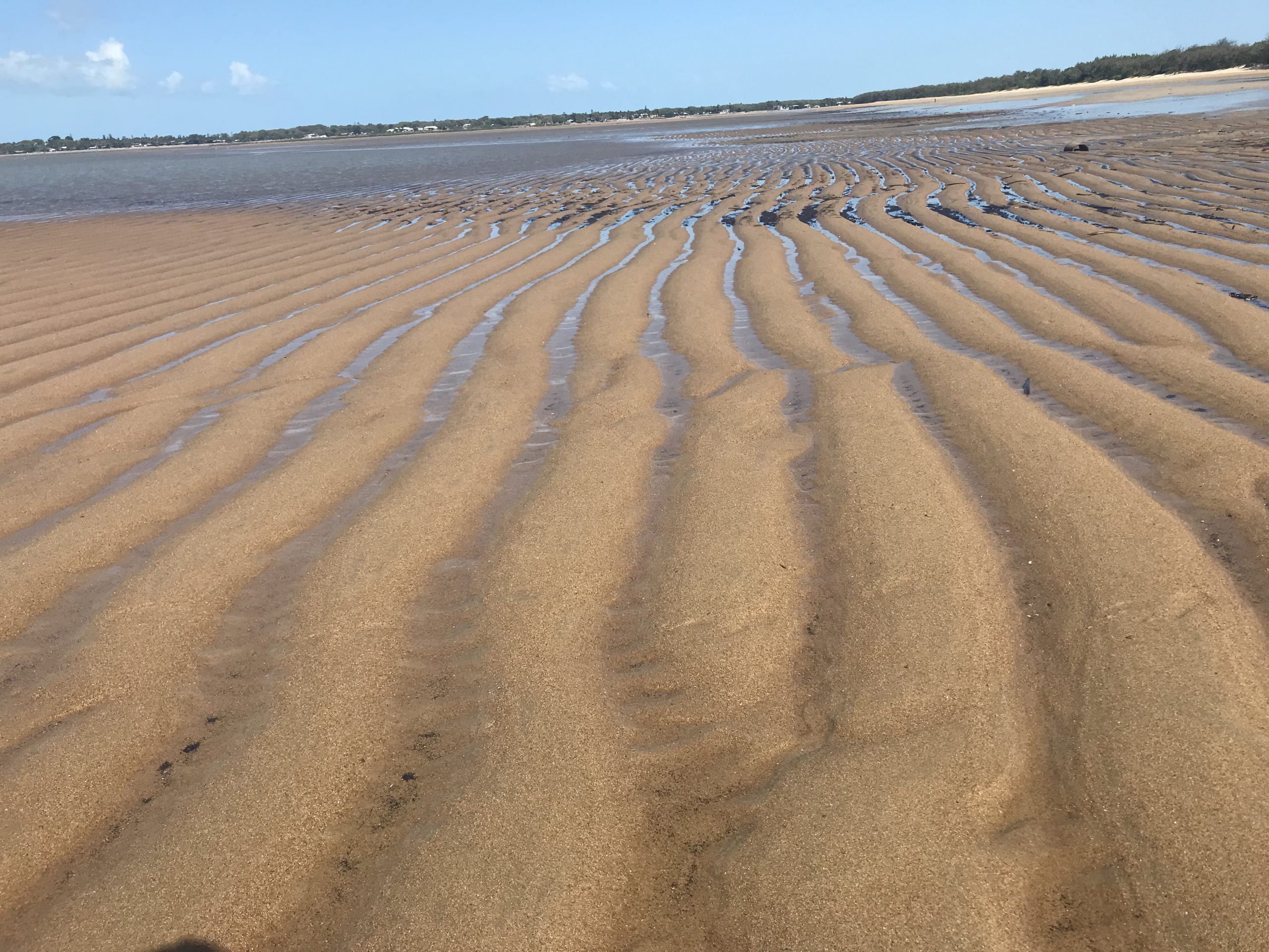 2018 03 14 14.52.38 scaled