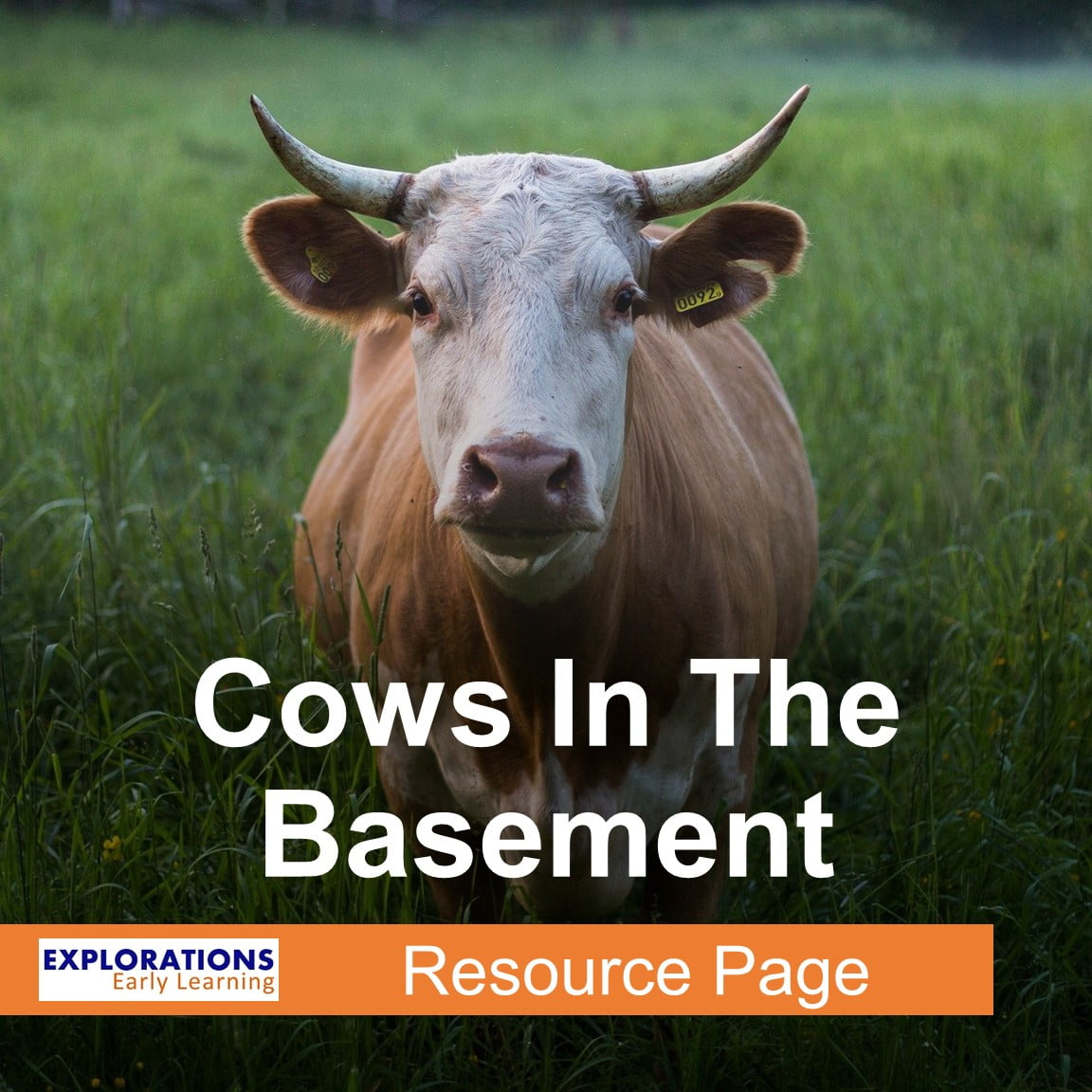Cows In The Basement | Resource Page