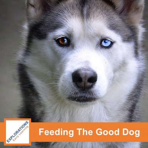 Feeding The Good Dog