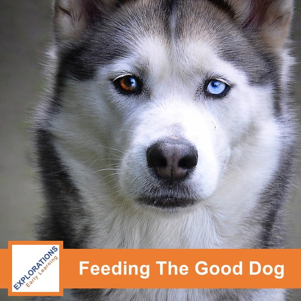 12-06-2022 | Feeding The Good Dog
