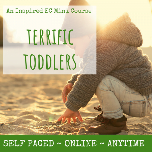 Terrific Toddlers