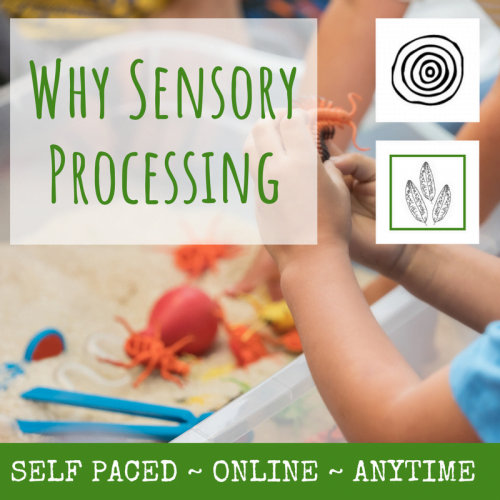 Why Sensory Processing