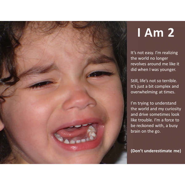 I Am 2 Poster (2.0) Download