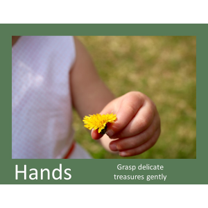 Hands Grasp Gently Poster Download