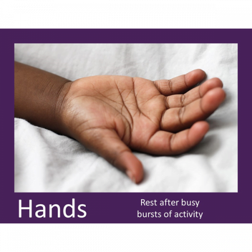 Hands Rest Poster Download