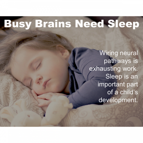 Busy Brains Need Sleep Poster Download
