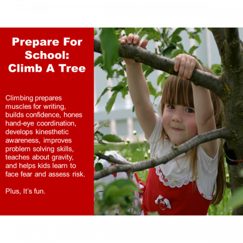 Climb A Tree Poster