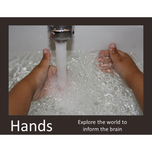 Hands Explore Poster Download