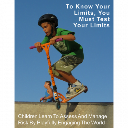 Test Your Limits Poster Download