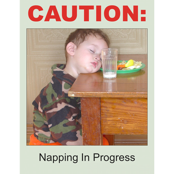 Napping In Progress Poster Download