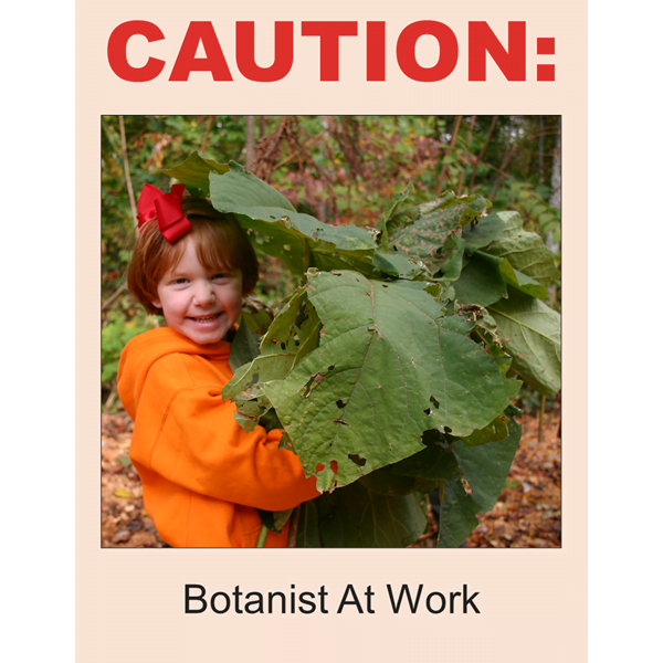 Botanist At Work Poster Download