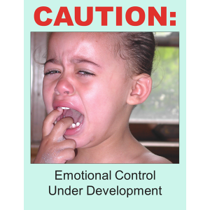 Emotional Control Poster Download
