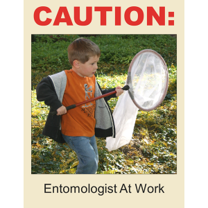 Entomologist At Work Poster Download