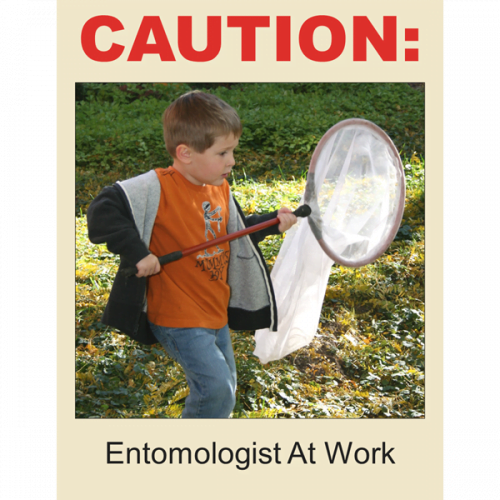 Entomologist At Work Poster Download