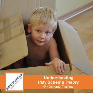 Understanding Play Schema Theory