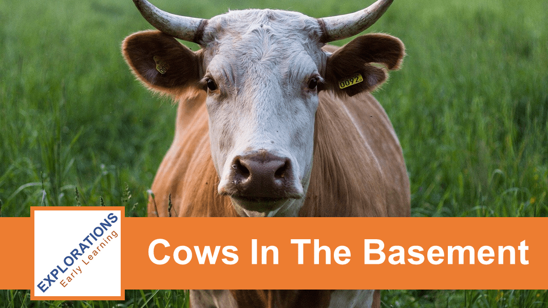 05/20/2026 | Cows In The Basement