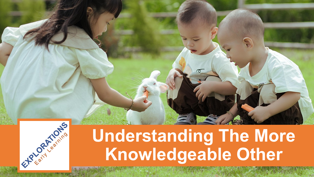 Understanding The More Knowledgeable Other
